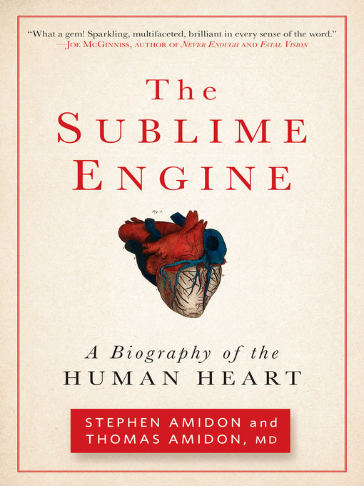 Title details for The Sublime Engine by Stephen Amidon - Available